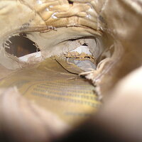 P1010042.JPG