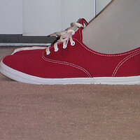 Picture 003.jpg