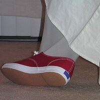 Picture 016.jpg