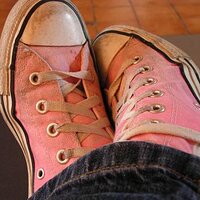 converse%20rose3.JPG