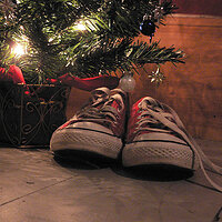 81800664_5acf860784.jpg