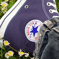 5909195.jpg