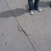 conv16.JPG