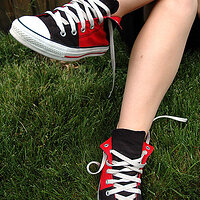 70315479-L.jpg