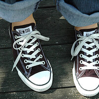 70320529-L.jpg