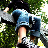 70320916-L.jpg
