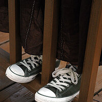 70324564-L.jpg
