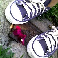 chucks1_by_hollywoodland.jpg
