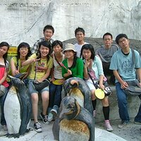 p112515168395.jpg