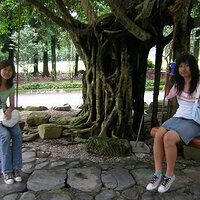 p112497465097.jpg