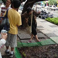 p112461262949.jpg