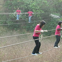 p112398184790.jpg