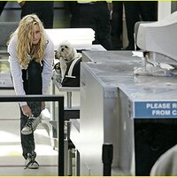 alyson-michalka_NET-la2008mar23-laxairport-0012.jpg