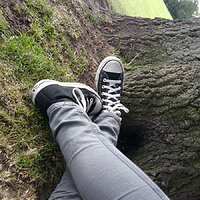 converse_and_a_tree_by_sunshineburns-d4as0ga.jpg