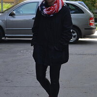 new-yorker-red-gate-scarves-echarpes.jpg
