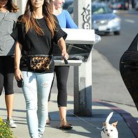 cara-santana-walking-her-dog-out-in-west-hollywood-november-2014_6.jpg
