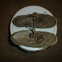 DSC01746.JPG