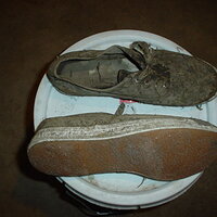 DSC01750.JPG