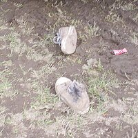 chucks1.jpg