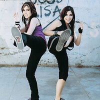 theveronicas15thsmall.jpg