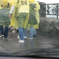 IMG_3575_resize.JPG