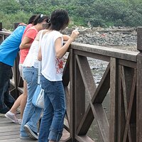 p112533042196.jpg