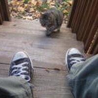 jordan converse and kitty.jpg