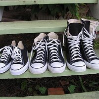 IMG_1800 (Large).JPG