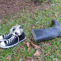 IMG_1805 (Large).JPG