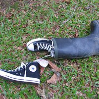 IMG_1806 (Large).JPG