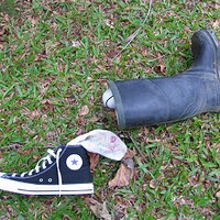 IMG_1807 (Large).JPG