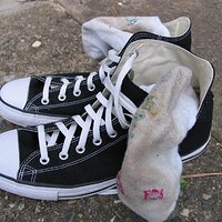 IMG_1820 (Large).JPG