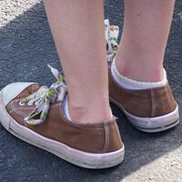 brown knockoffs1.JPG