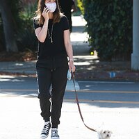 ana-de-armas-in-casual-outfit-walking-her-dog-in-venice-05-15-2020-1.jpg