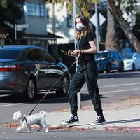 ana-de-armas-in-casual-outfit-walking-her-dog-in-venice-05-15-2020-11.jpg