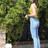 ana-de-armas-steps-out-in-satin-camisole-for-a-dog-walk-in-venice-1.jpg