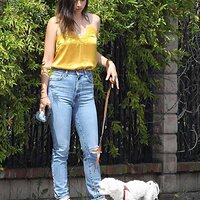 ana-de-armas-steps-out-in-satin-camisole-for-a-dog-walk-in-venice-3.jpg