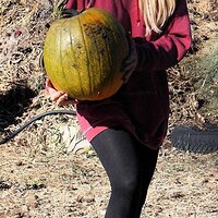 lindsaylohanpumpkin.jpg