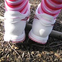 IMG_2710.jpg