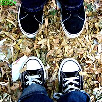 IMG007.jpg