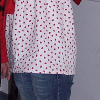 VANS016.jpg