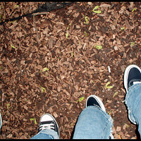 IMG011.jpg