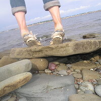 P1010009.JPG