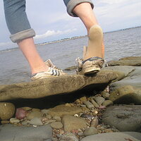 P1010014.JPG