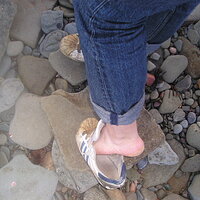 P1010008.JPG
