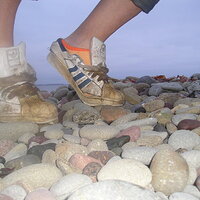 P1010069.JPG