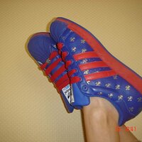 DSC02363 (Large).JPG