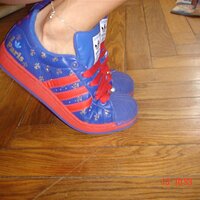 DSC02381 (Large).JPG