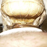 15 - Perfect Fit...-).JPG