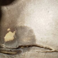 19 - Cleaned Up....JPG